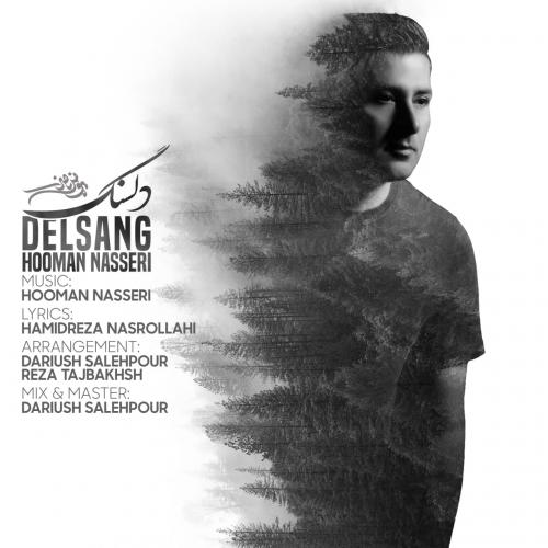 دانلود آهنگ دلسنگ هومن ناصری